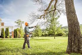 Trusted Fergus Falls, MN Tree Removal and Landscaping Services Experts